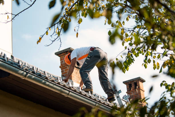 Best Sheet Metal Roofing  in Troup, TX