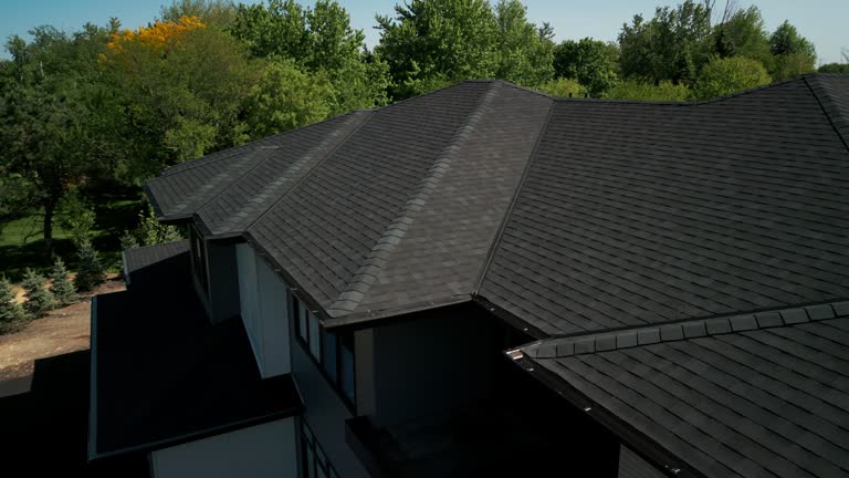 Best Solar Panel Roofing Installation  in Troup, TX